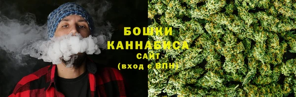 ешки Медногорск