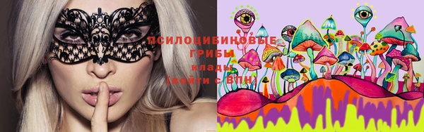 мдпв Абаза