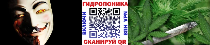 Шишки марихуана семена  купить наркоту  Элиста 